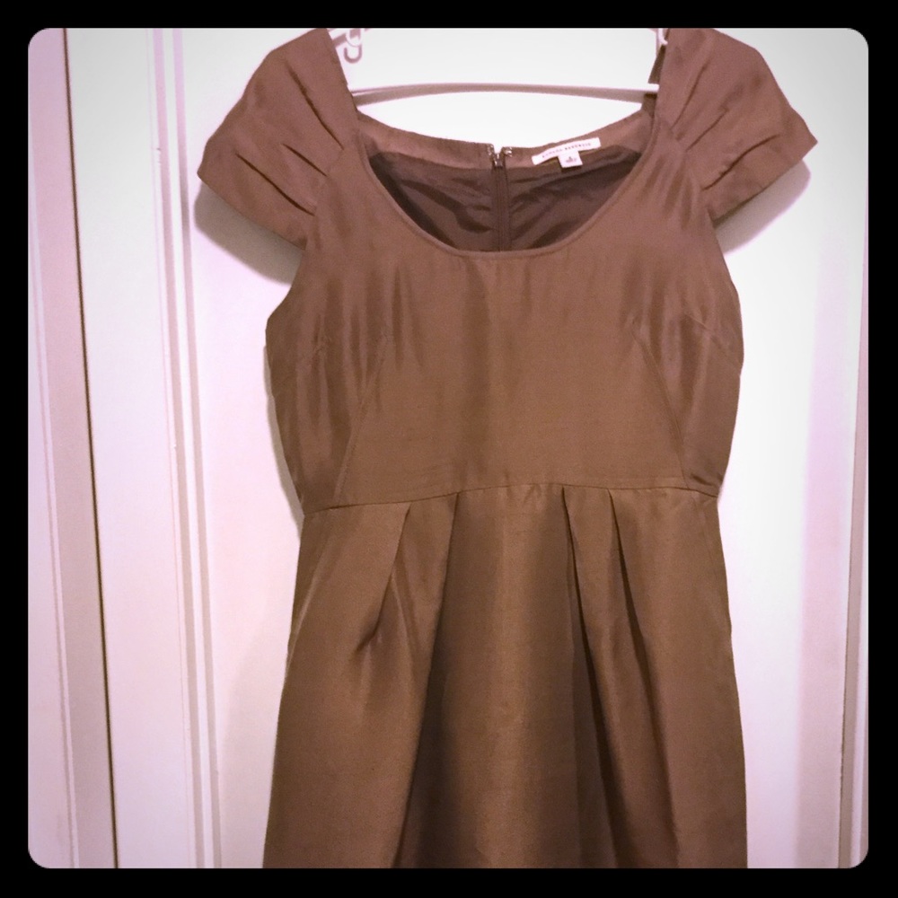 Banana Republic Raw Silk Brown Dress 8